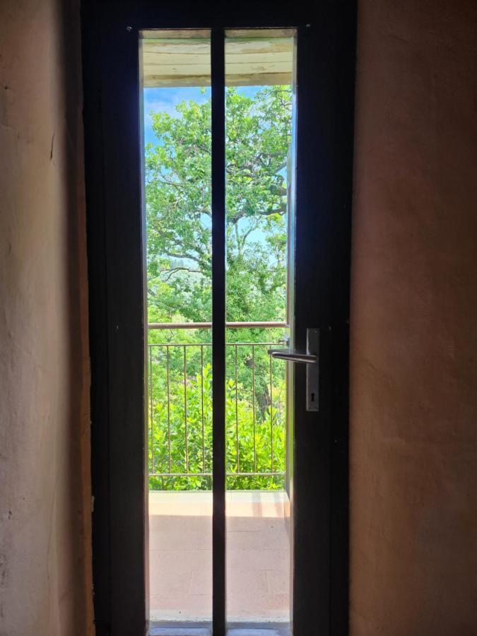 Il Giuggiolo - La Collina Della Quiete Certaldo Exterior foto